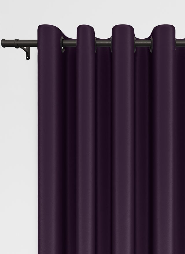 Maldive Violet