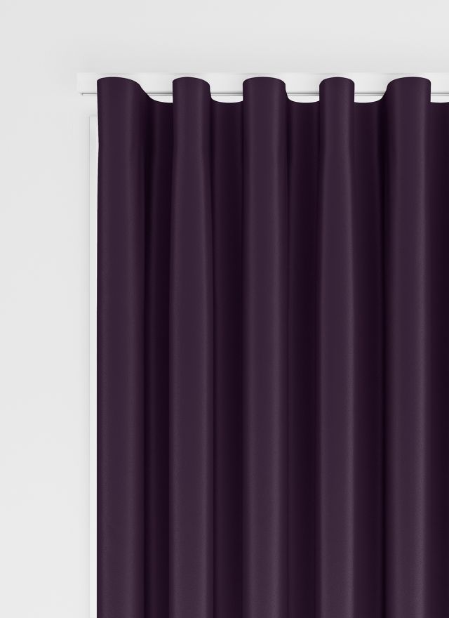 Maldive Violet