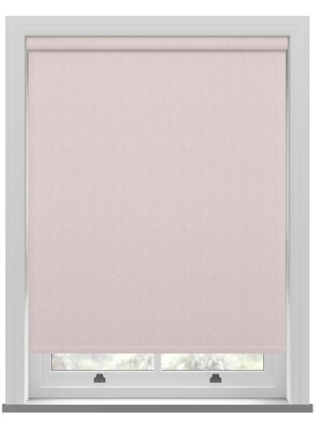 Islen Sorbet