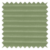 Concord Spring