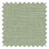 Haylord Fern