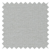 Starlight Silver