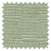 Haylord Fern